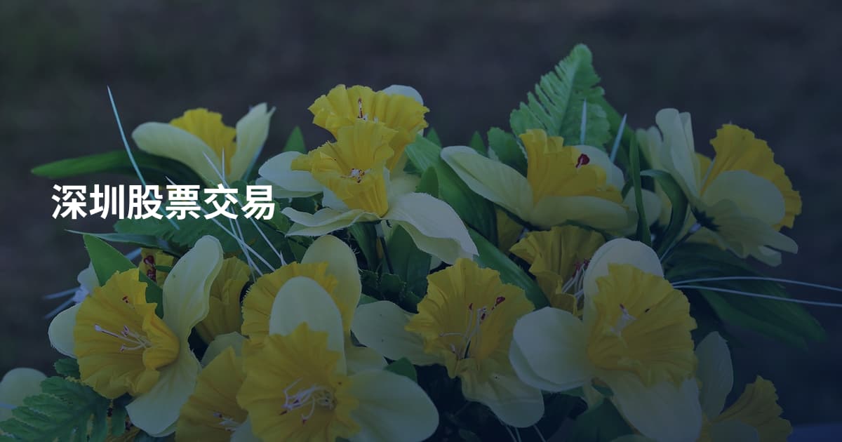 深圳股票交易