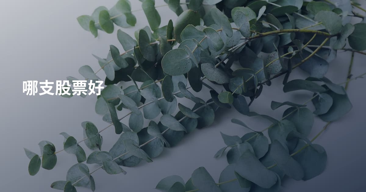 哪支股票好