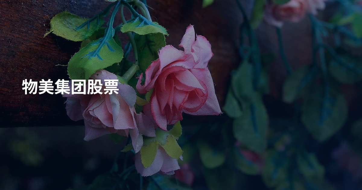 物美集团股票