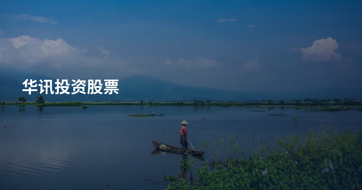 华讯投资股票
