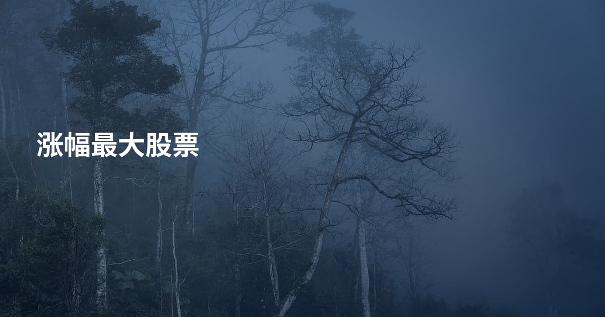 涨幅最大股票
