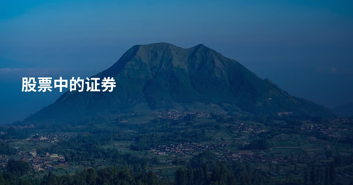 股票中的证券