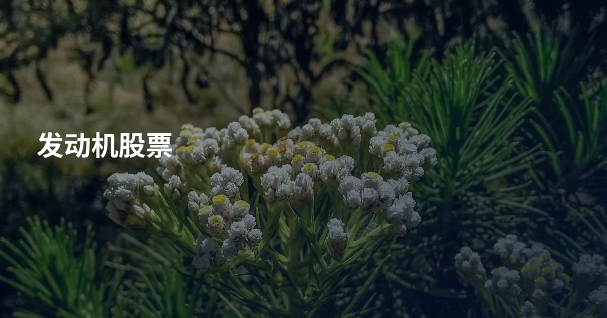 发动机股票