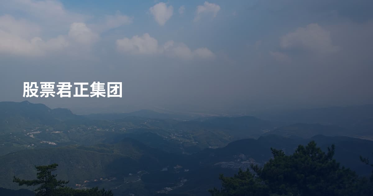 股票君正集团