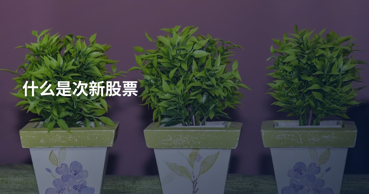 什么是次新股票