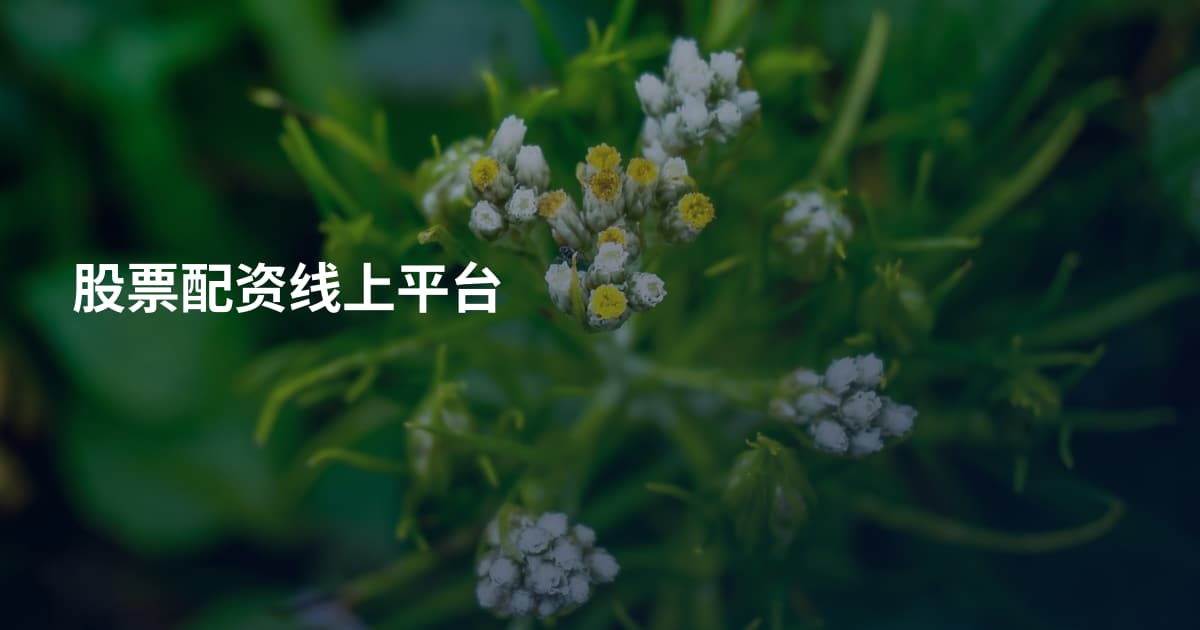 股票配资线上平台