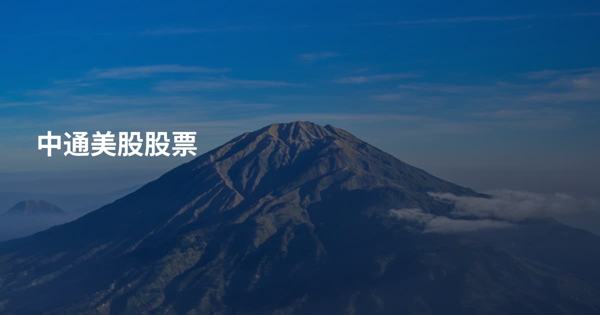 中通美股股票