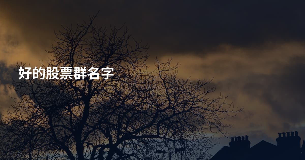 好的股票群名字