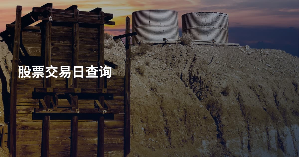 股票交易日查询