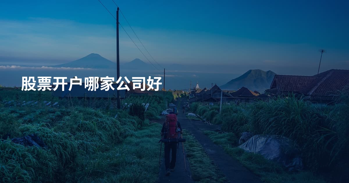 股票开户哪家公司好
