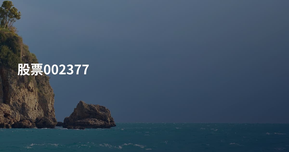 股票002377