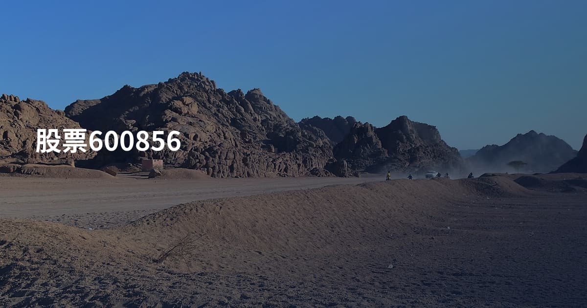 股票600856