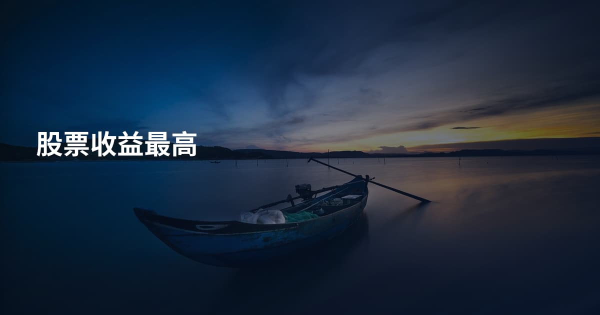 股票收益最高