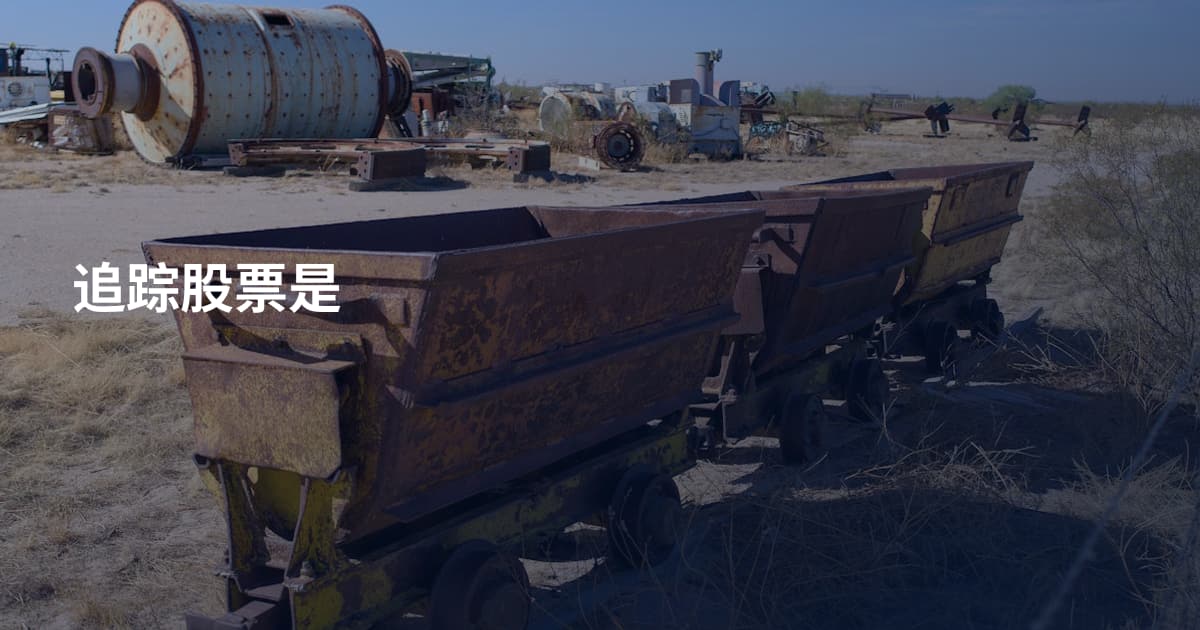 追踪股票是
