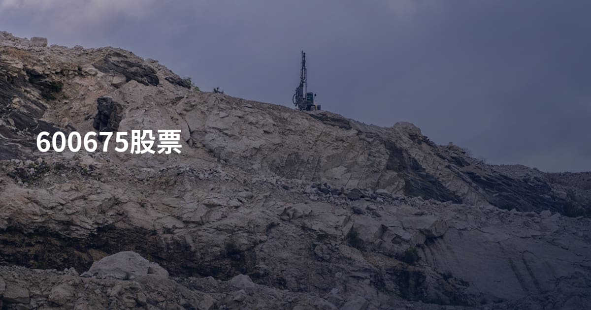 600675股票