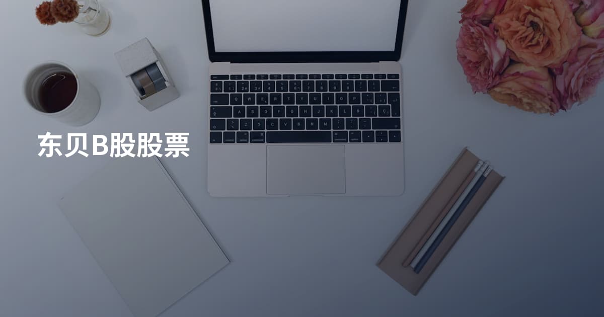 东贝B股股票