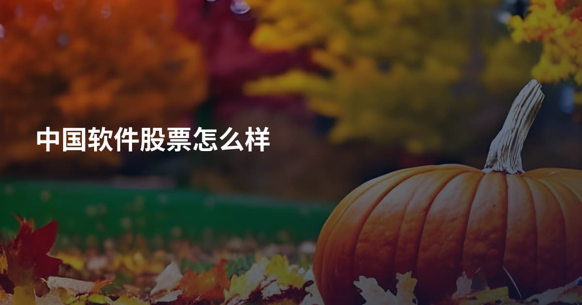 中国软件股票怎么样