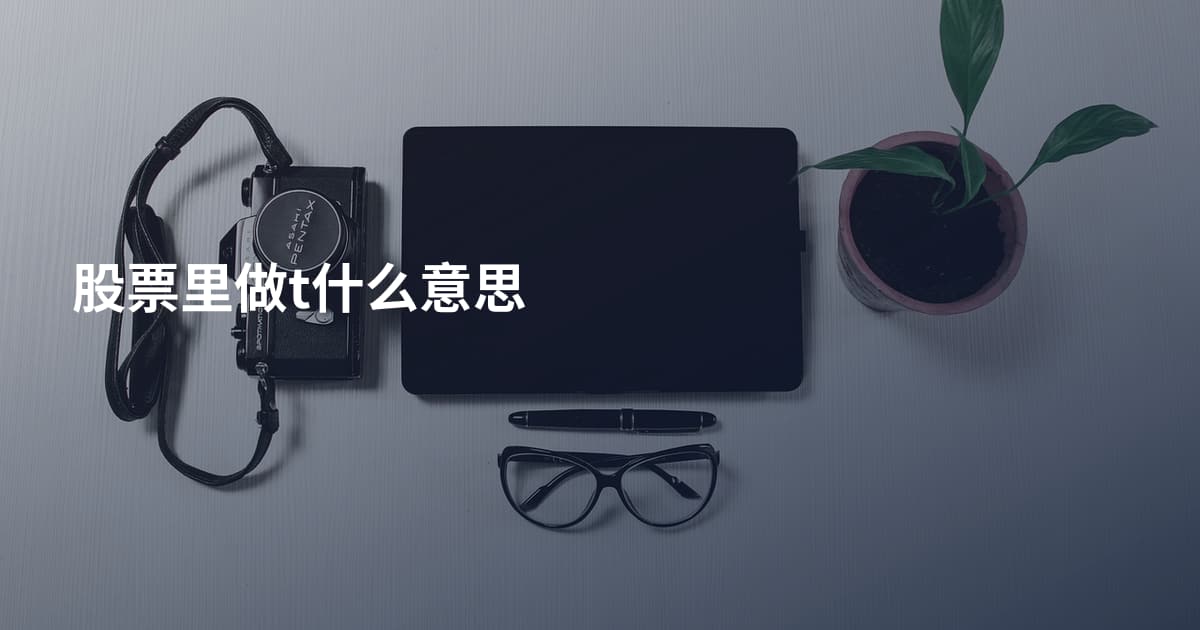 股票里做t什么意思