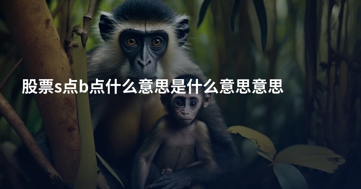 股票s点b点什么意思是什么意思意思