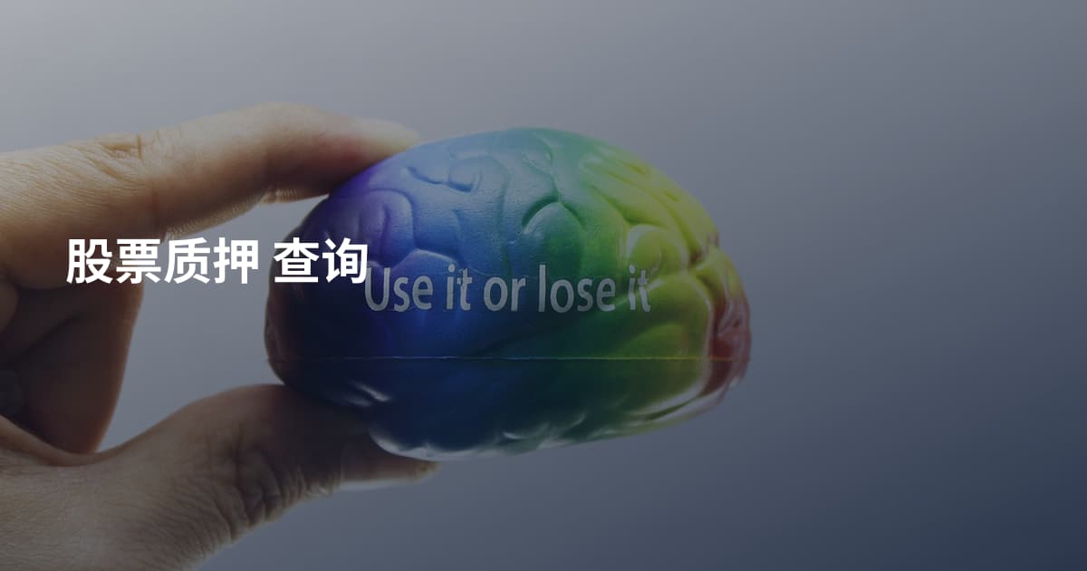股票质押 查询