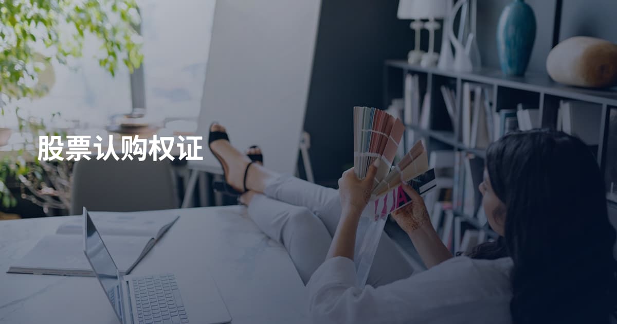 股票认购权证