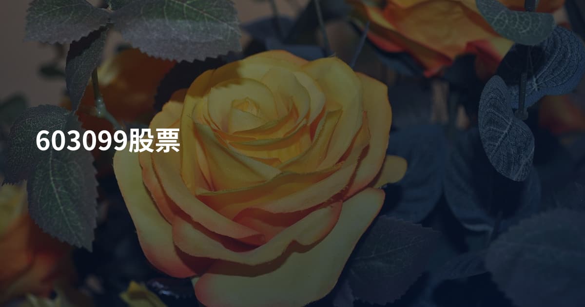 603099股票