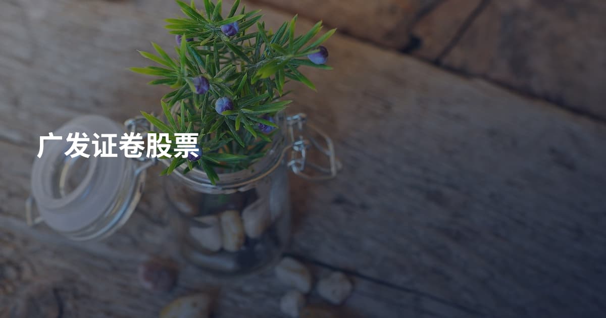 广发证卷股票