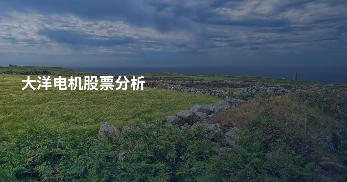 大洋电机股票分析
