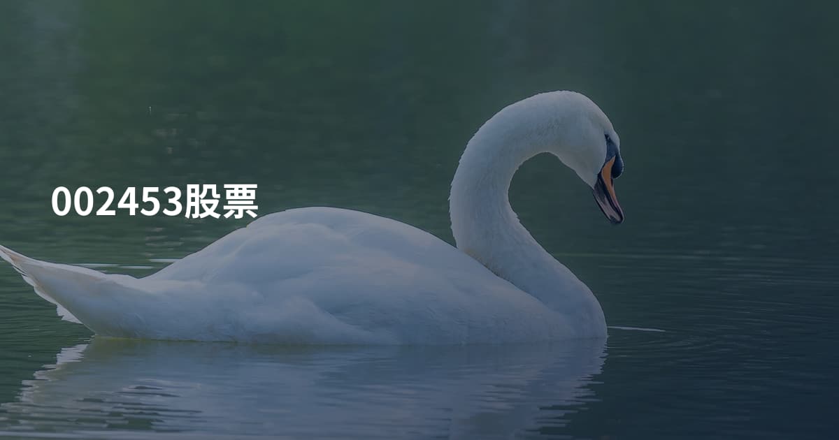 002453股票