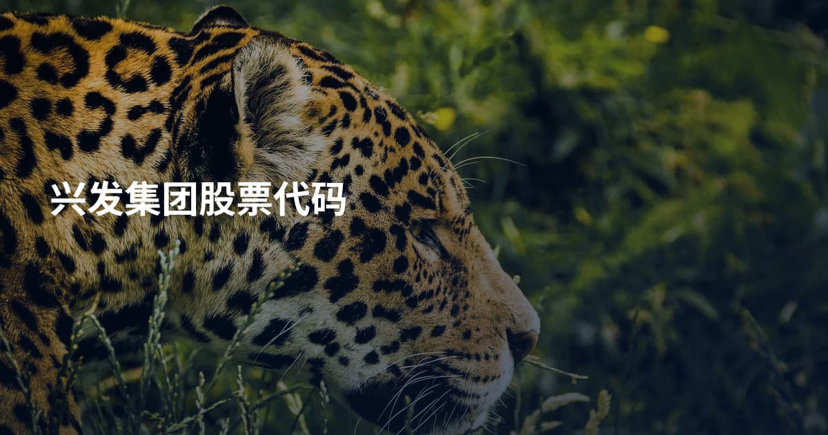 兴发集团股票代码