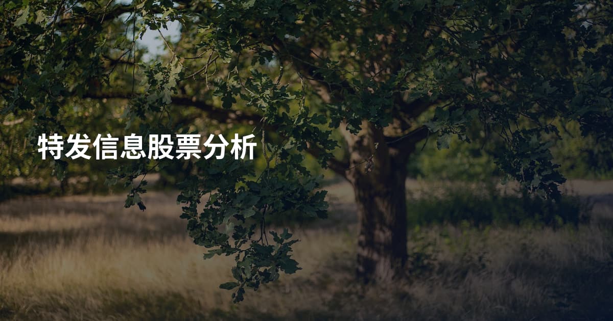 特发信息股票分析