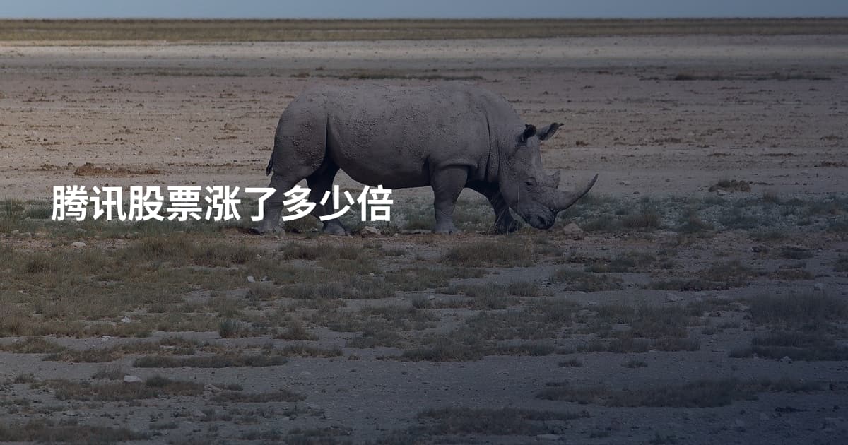 腾讯股票涨了多少倍