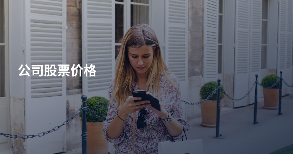 公司股票价格