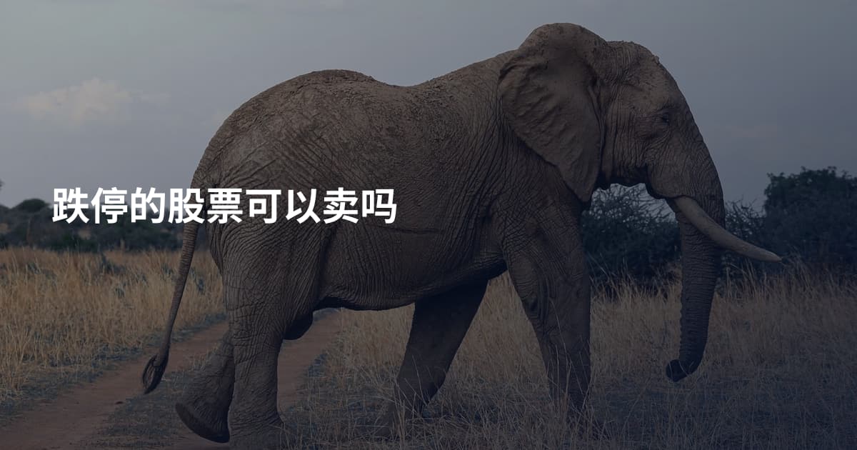跌停的股票可以卖吗
