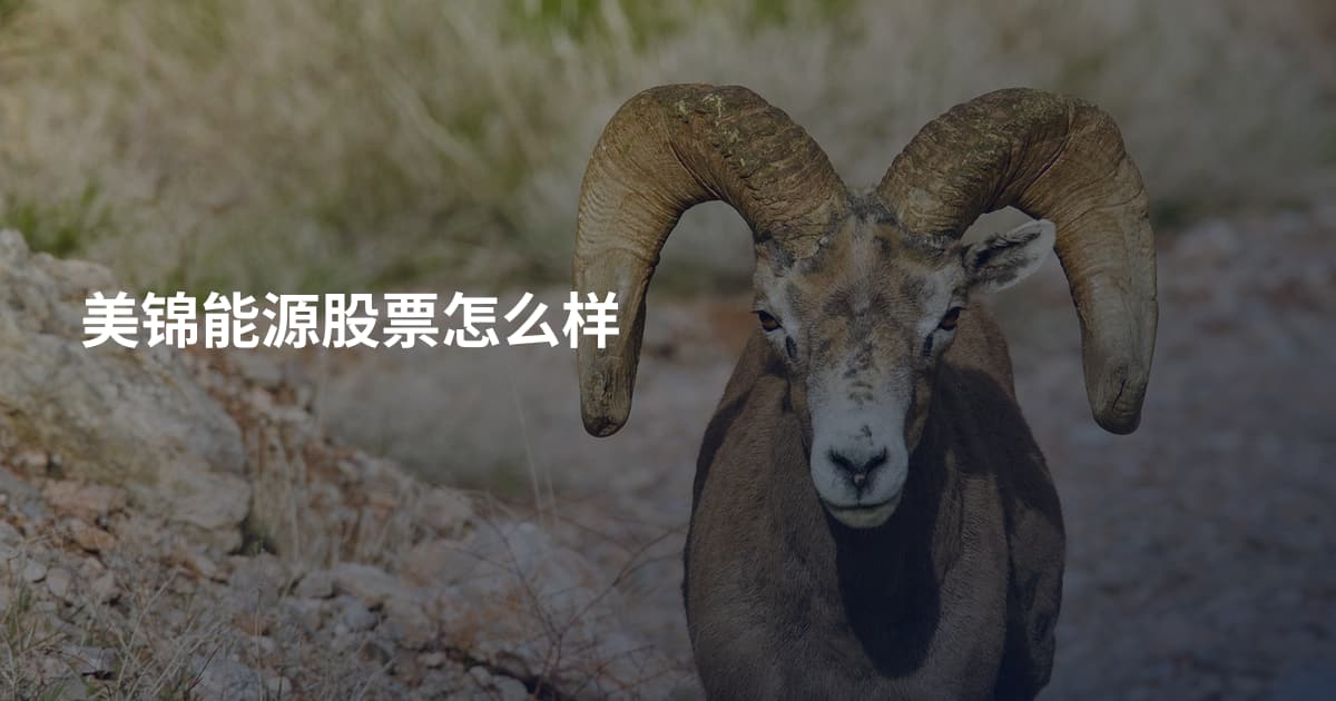 美锦能源股票怎么样