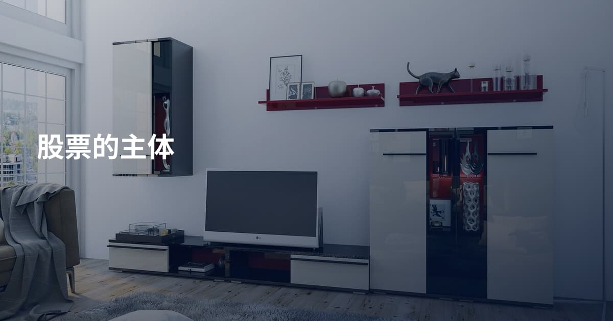 股票的主体