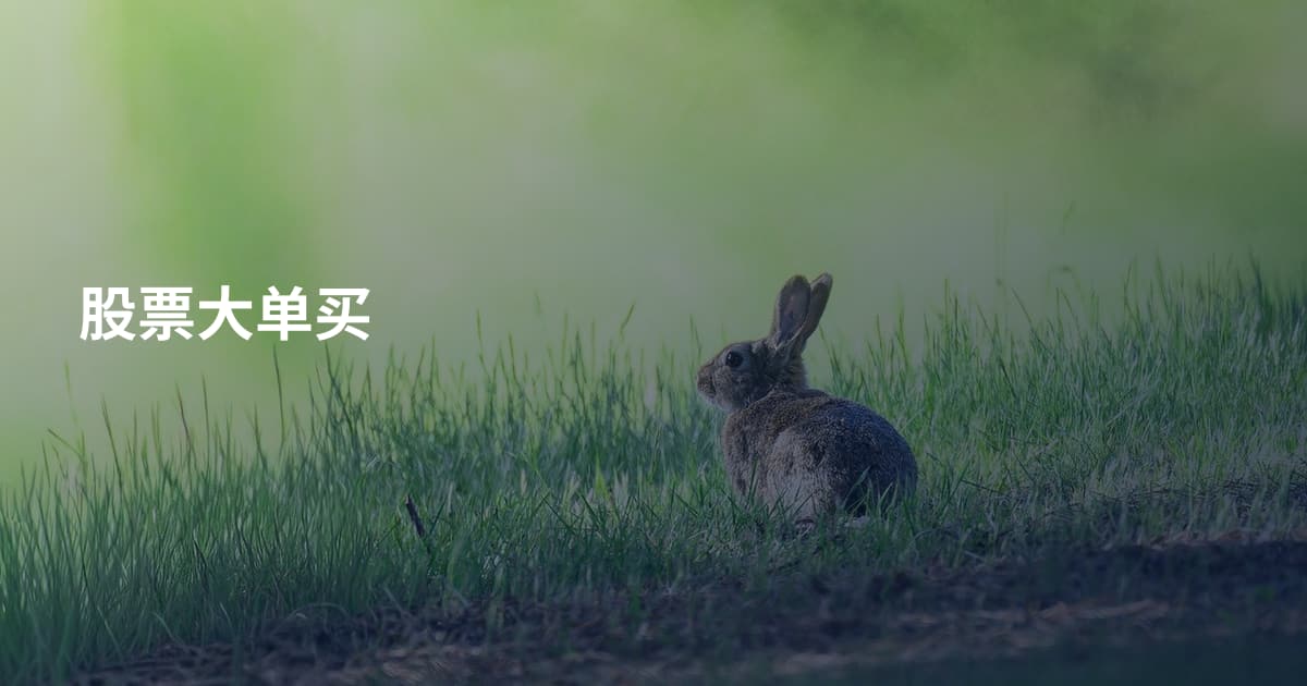 股票大单买