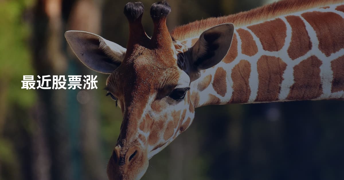 最近股票涨