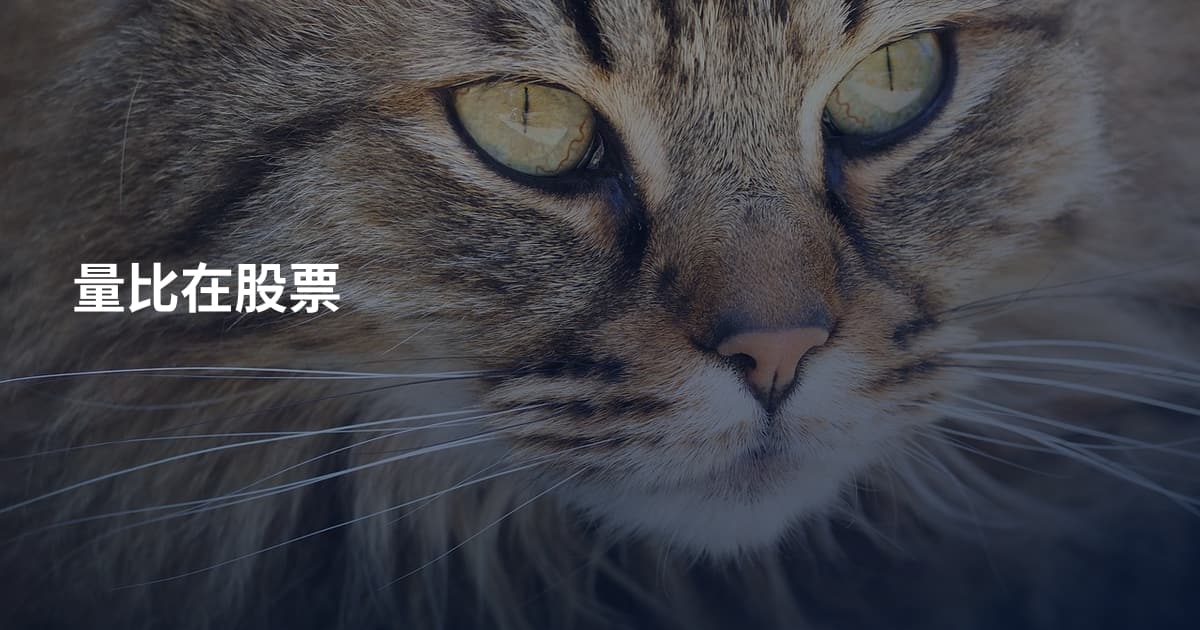量比在股票