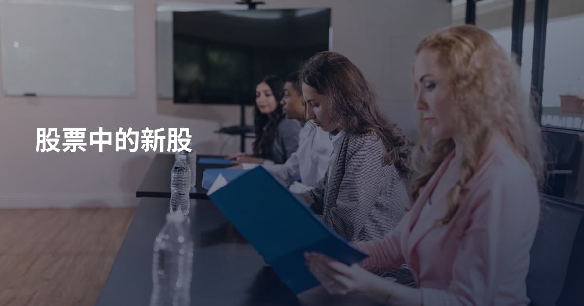 股票中的新股