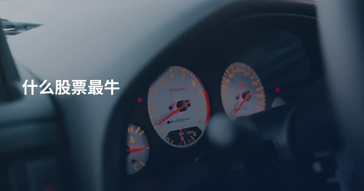 什么股票最牛