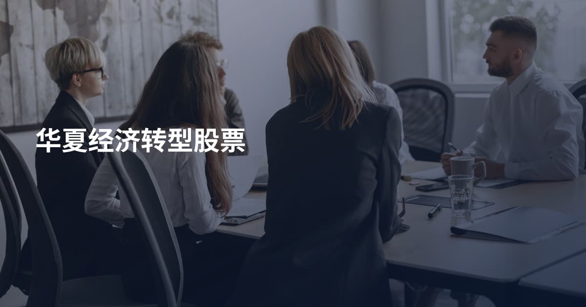 华夏经济转型股票