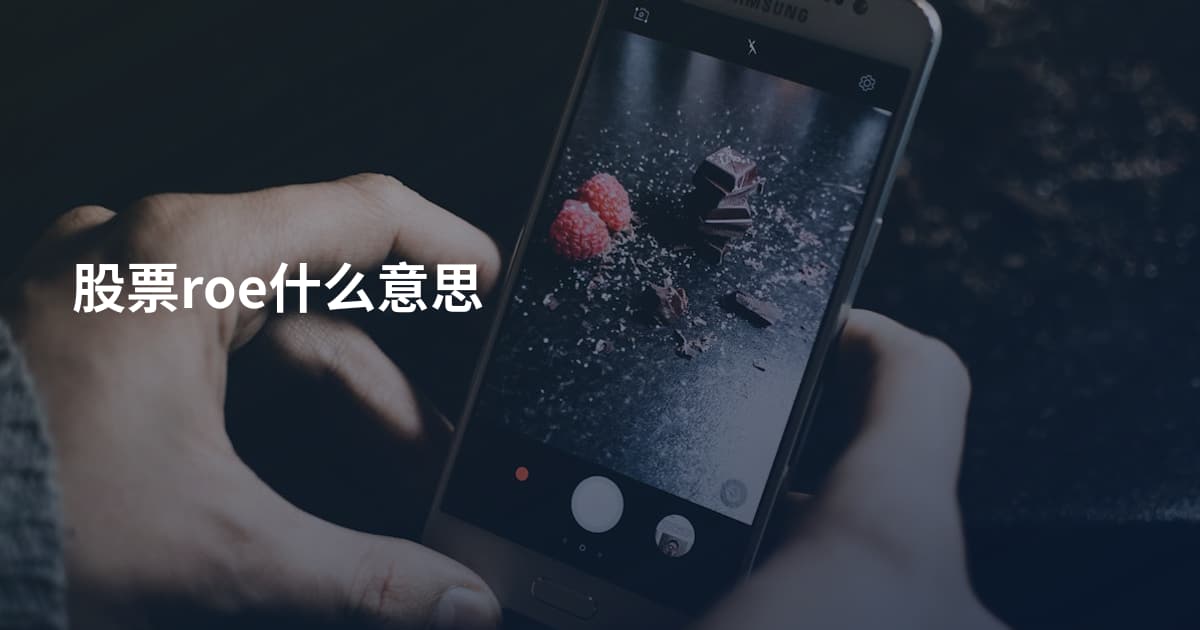 股票roe什么意思