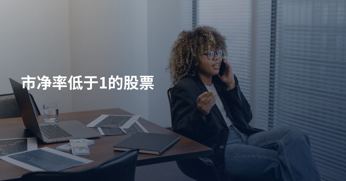 市净率低于1的股票