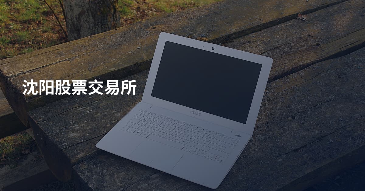 沈阳股票交易所