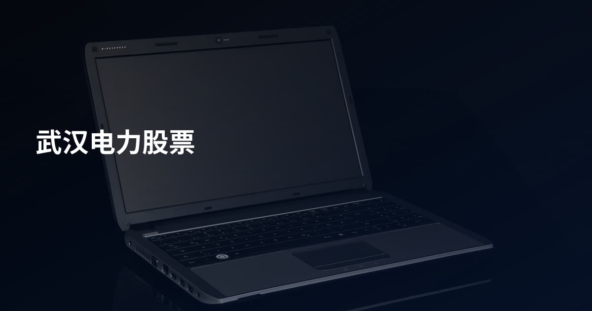 武汉电力股票