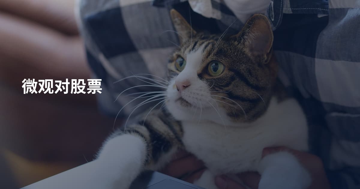 微观对股票