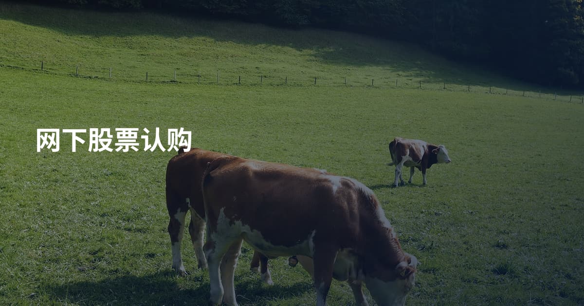 网下股票认购