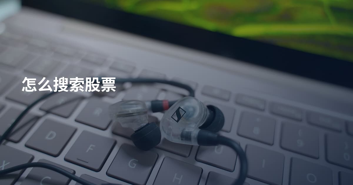 怎么搜索股票