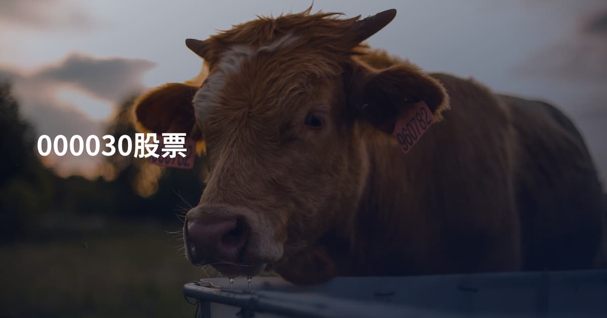 000030股票